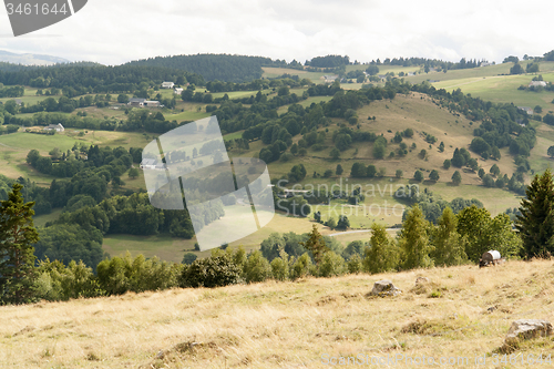 Image of Vosges scenery