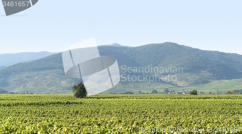 Image of Vosges scenery