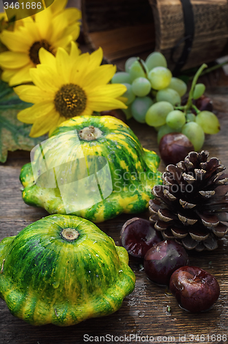 Image of harvest squash