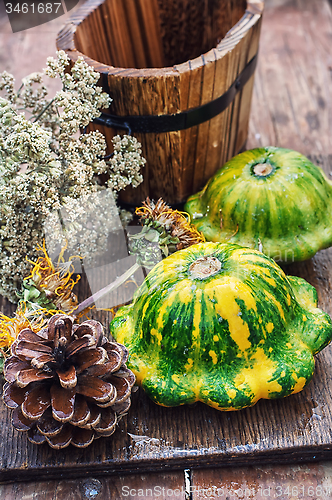 Image of harvest squash