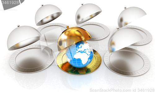 Image of Serving dome or Cloche and Earth