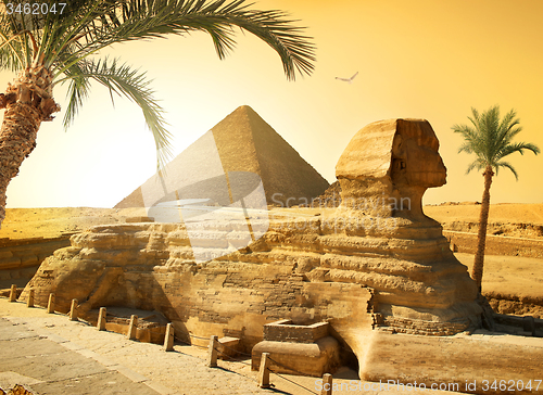 Image of Sphinx and palms