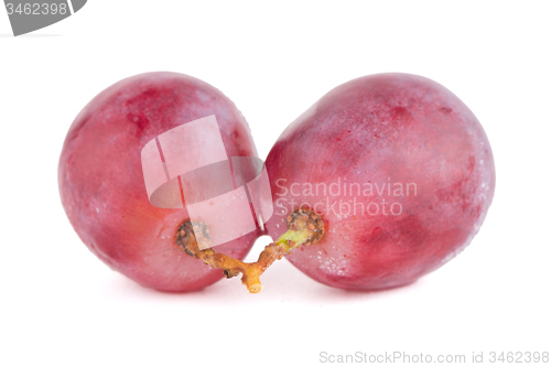 Image of Red grape
