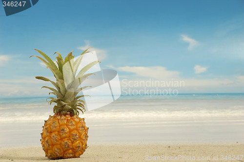 Image of Pineapple on exotic beach