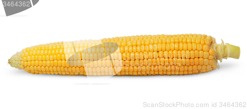 Image of Purified ear of corn