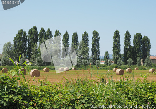 Image of Hay bale