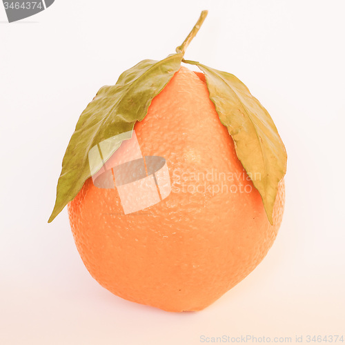 Image of Retro looking Orange fruit