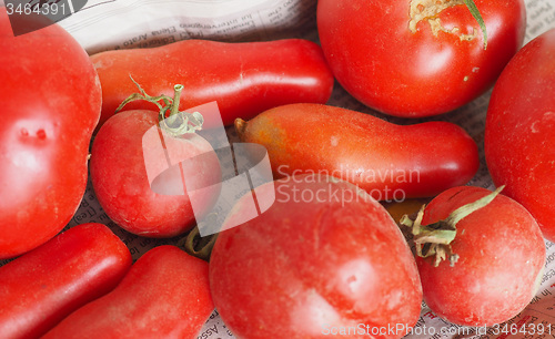 Image of Red Tomato vegetables