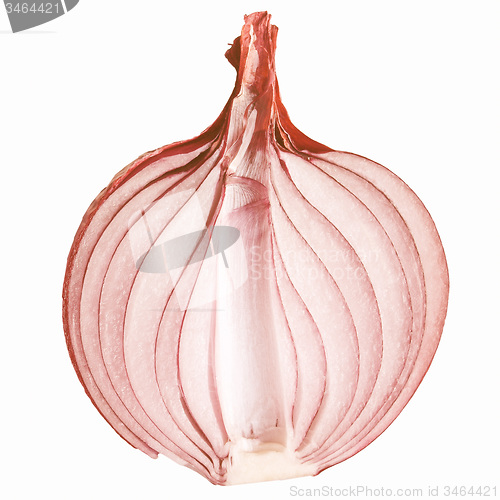 Image of Retro looking Onion