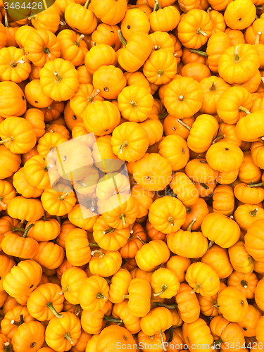 Image of Orange pumpkins background