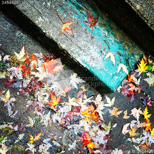 Image of Autumn leaves on old stone steps