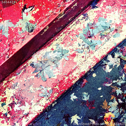 Image of Autumn leaves on old painted staircase