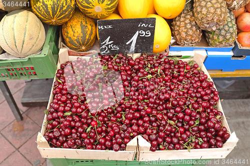 Image of Sour Cherry