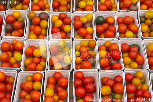 Image of Cherry Tomato