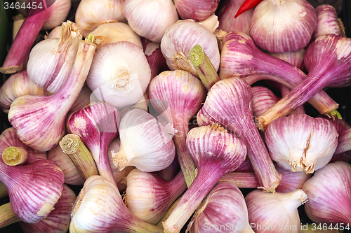 Image of Onion