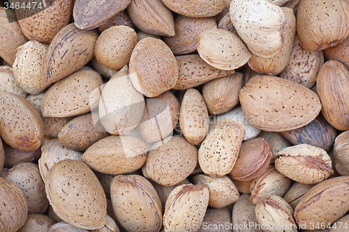 Image of Almonds in Shell