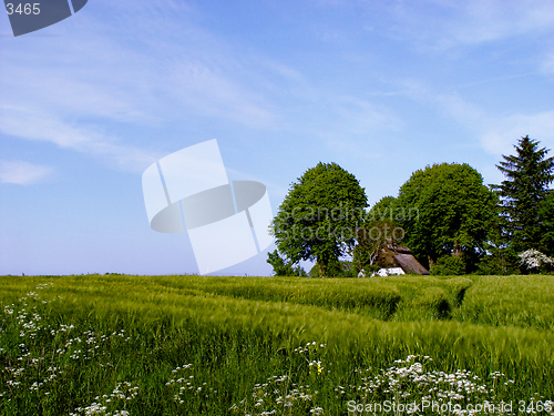 Image of farm