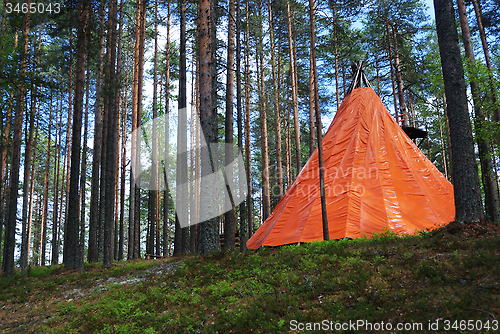 Image of orange tent in a pine forest