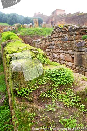 Image of chellah  in         the old roman       monument and site