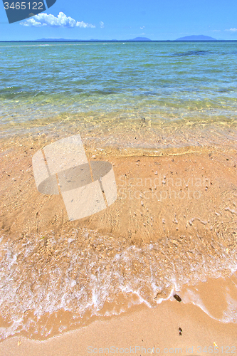 Image of paradise beach seaweed   nosy be   and foam