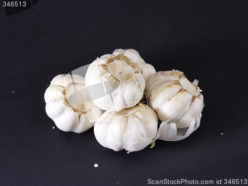 Image of Garlic Bulbs 007