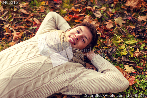 Image of close up of smiling young man lying in autumn park