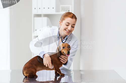 Image of doctor with stethoscope and dog at vet clinic