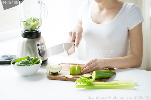 Image of close up of woman with blender chopping vegetables