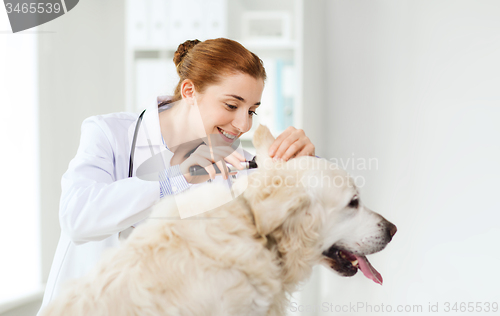 Image of happy doctor with otoscope and dog at vet clinic