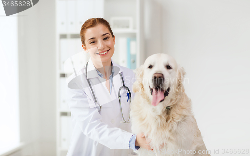 Image of happy doctor with retriever dog at vet clinic