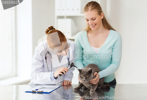 Image of happy woman with cat and doctor at vet clinic