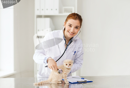 Image of happy veterinarian with kitten at vet clinic