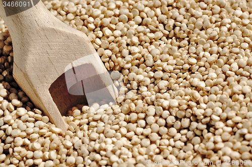 Image of Quinoa and a wooden spatula.