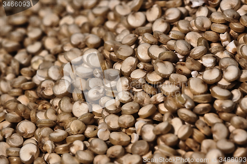 Image of Quinoa on the table.
