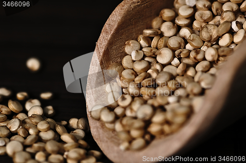 Image of Quinoa and a wooden spatula.