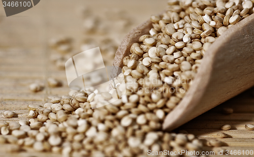 Image of Quinoa and a wooden spatula.