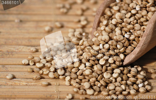 Image of Quinoa and a wooden spatula.