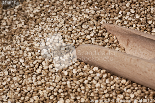 Image of Quinoa and a wooden spatula.