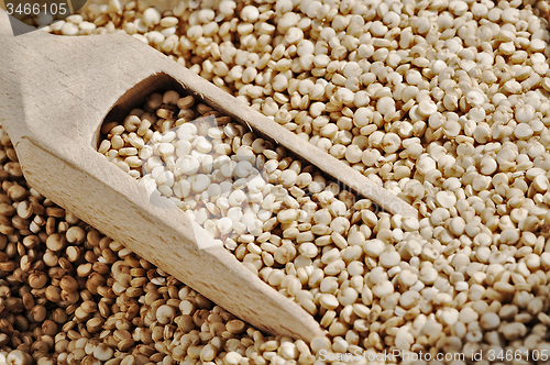 Image of Quinoa and a wooden spatula.