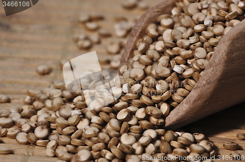 Image of Quinoa and a wooden spatula.