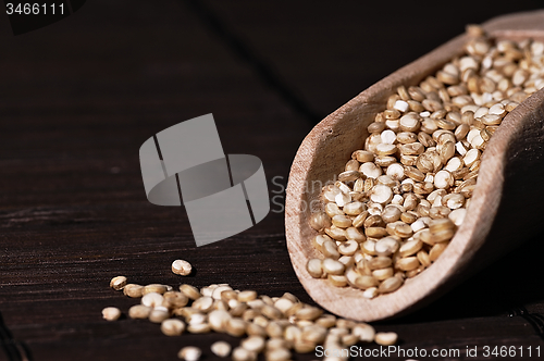 Image of Quinoa and a wooden spatula.