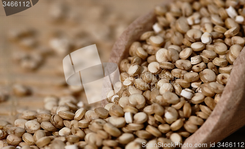 Image of Quinoa and a wooden spatula.