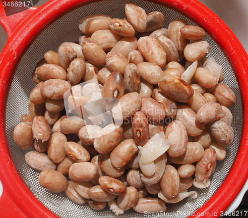 Image of Borlotti beans vegetables