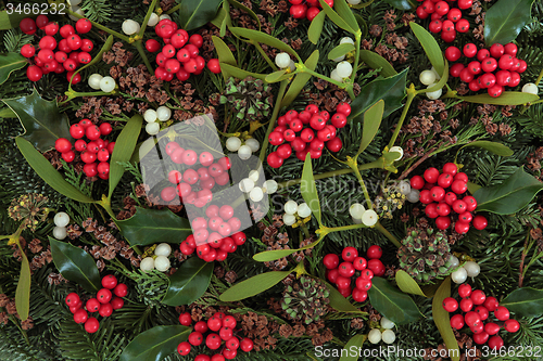 Image of Holly and Mistletoe 