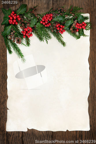 Image of Holly and Fir Border