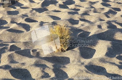 Image of Sand