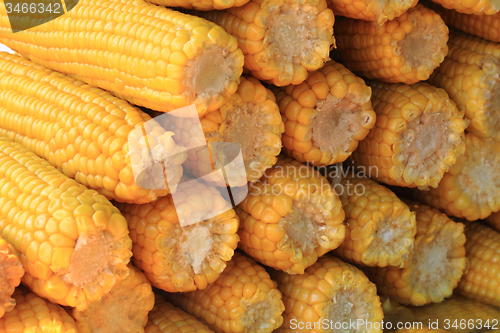 Image of sweet corn background