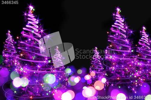 Image of xmas tree