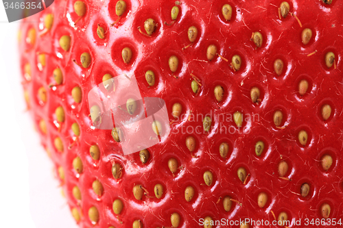 Image of detail of fresh red strawberry 