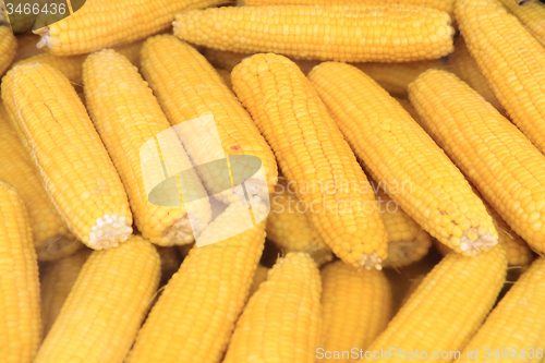 Image of boiled sweet corn